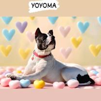 Thumbnail photo of Yoyoma #1