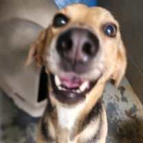 Thumbnail photo of Winston #4