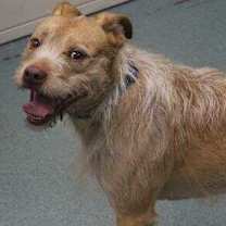 Thumbnail photo of Chief #3