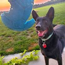 Thumbnail photo of Colby #4