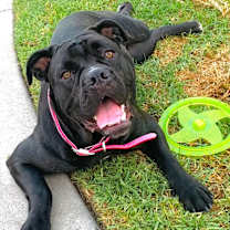 Thumbnail photo of Pretty Frida #1