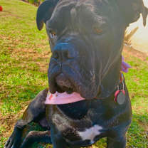 Thumbnail photo of Pretty Frida #2