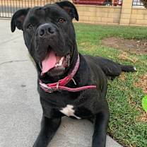 Thumbnail photo of Pretty Frida #4