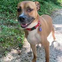 Thumbnail photo of Roscoe #2