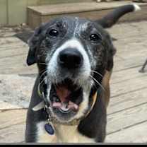 Thumbnail photo of Miss P #2