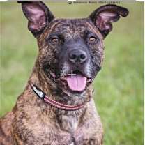 Thumbnail photo of Reba #2