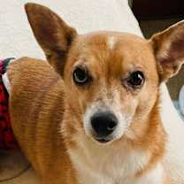 Thumbnail photo of Carson #1