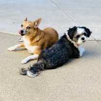 Thumbnail photo of Carson #2