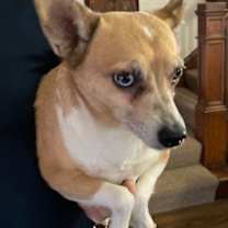 Thumbnail photo of Carson #3