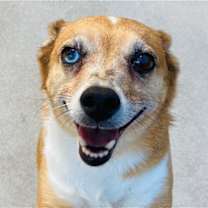 Thumbnail photo of Carson #4