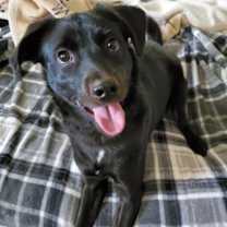 Thumbnail photo of Reggie #1