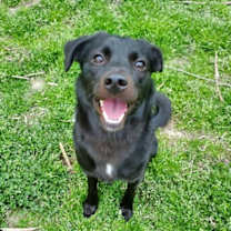 Thumbnail photo of Reggie #2