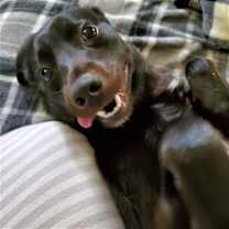 Thumbnail photo of Reggie #3
