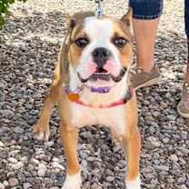 Thumbnail photo of Grace #1