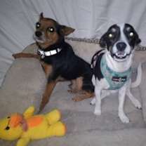 Thumbnail photo of Peter and Micah #1