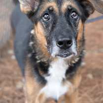 Thumbnail photo of Lucille #1