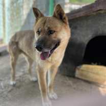 Thumbnail photo of Duke #2