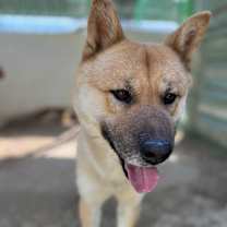 Thumbnail photo of Duke #4