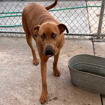 Thumbnail photo of Mickey #1