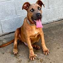 Thumbnail photo of Mickey #2