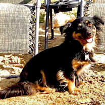 Thumbnail photo of Nina! #3