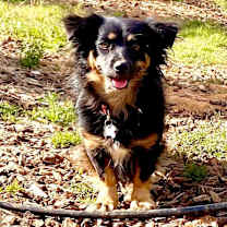 Thumbnail photo of Nina! #4