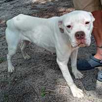 Thumbnail photo of Melanie #2