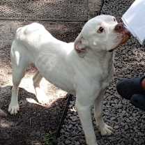 Thumbnail photo of Melanie #3