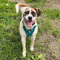 Thumbnail photo of Marlo #3