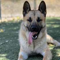 Thumbnail photo of Sonny #2