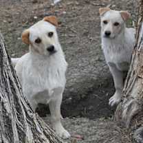 Thumbnail photo of Trevor #4