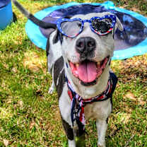 Thumbnail photo of Marshall #1