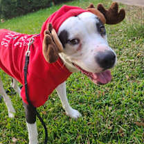 Thumbnail photo of Marshall #4