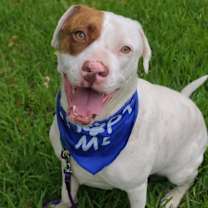 Thumbnail photo of Hank #2