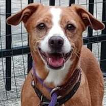 Thumbnail photo of Demi #1