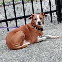 Thumbnail photo of Demi #2