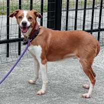 Thumbnail photo of Demi #3