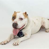 Thumbnail photo of Zeke #3