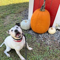 Thumbnail photo of Hilda #3