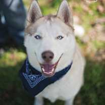 Thumbnail photo of Tucker2 #1