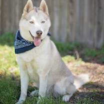 Thumbnail photo of Tucker2 #2