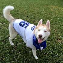 Thumbnail photo of Tucker2 #3