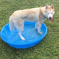 Thumbnail photo of Tucker2 #4