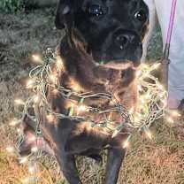 Thumbnail photo of Pepper #3