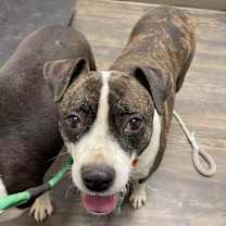 Thumbnail photo of Laverne #1