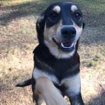 Thumbnail photo of Nadia (Olympic crew) #2