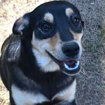 Thumbnail photo of Nadia (Olympic crew) #3