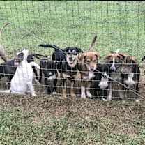 Thumbnail photo of Nadia (Olympic crew) #4