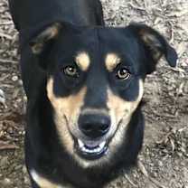 Thumbnail photo of Deputy #1