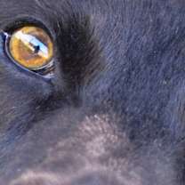 Thumbnail photo of HOLLY #2